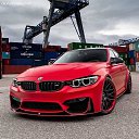 ���� �����, ����, 43 ���� - ��������� 16 ���� 2024 � ������ ���� ����������