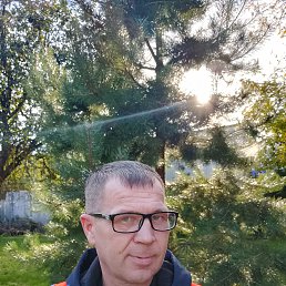 ����� ��������, 41 ���, ���������