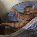 ���� ��������, ������, 39 ��� - ��������� 8 ������ 2025 � ������ ������ ��������
