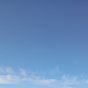 �����, 45 ���, ������ ��������