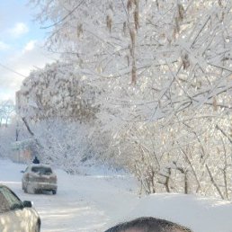 ������, 37 ���, �����-���������