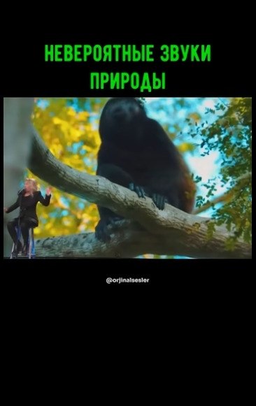 ��� ��� ��� ������? ������ ���������� - 2
