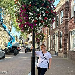 ����, ������