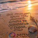 ���� ��������, �������, 49 ��� - ��������� 25 �������� 2026 � ������ ������ ��������
