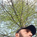 ���� �������, ������, 41 ��� - ��������� 20 ������ 2026 � ������ ���� ����������