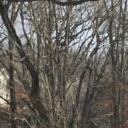 ������, �����-���������, 56 ���