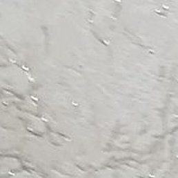 ������, �����������, 27 ���