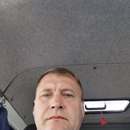 ���������, 56 ���, ������