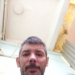 ����, 42 ����, ���������