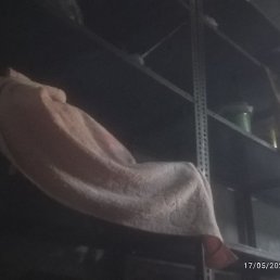 Tara, �������, 32 ����