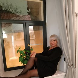 ���� ������, �����-���������, 51 ��� - ��������� 24 ����� 2026