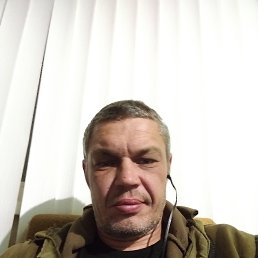 ����, 41 ���, �������