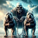 ���� ������, ���������, 41 ��� - ��������� 29 ������� 2024 � ������ ���� ����������