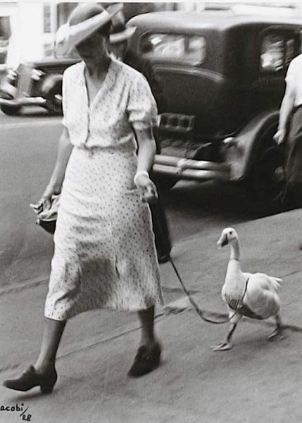 :) К Бетти, шагающей по площади Пикадилли с гусем на поводке ( явно страдающим диареей), подходит ...