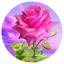  , --, 67  -  10  2025    