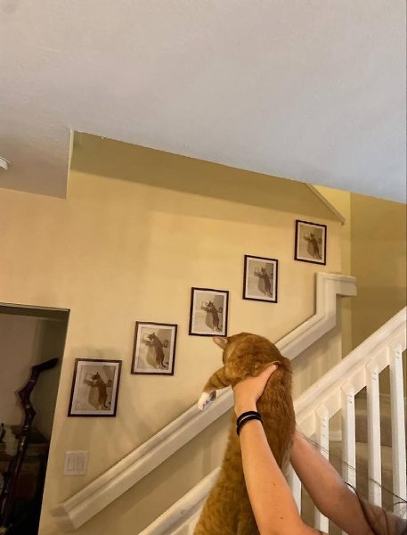    - 6