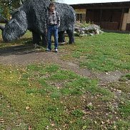 �������, 58 ���, �����������