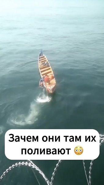    . - 2