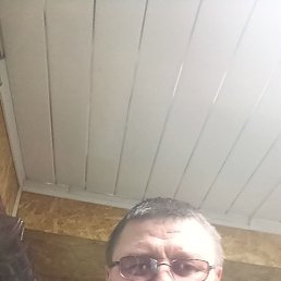 , 41, 