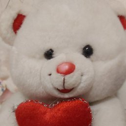 ���, ���������� �����, 56 ���