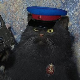 Vasiliy, ���������, 51 ���