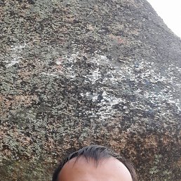 ������, 33 ����, �������