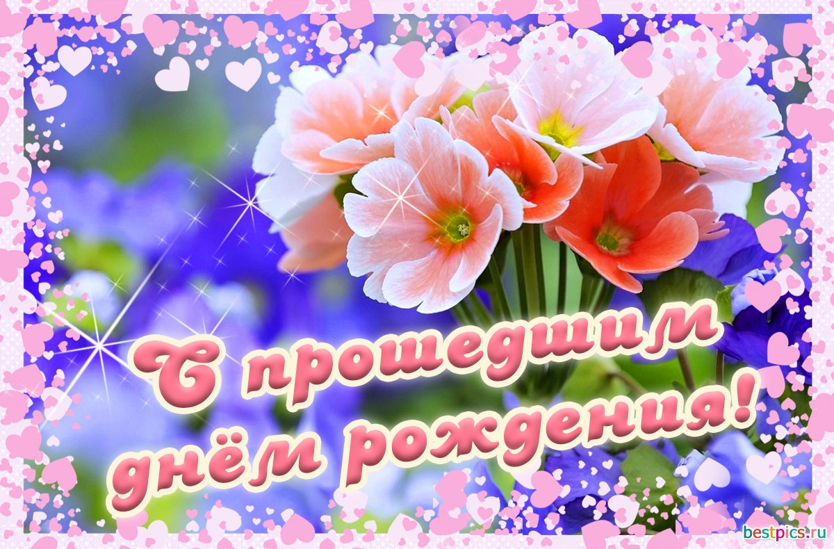   ,    . - 23  2024  09:54 - 3