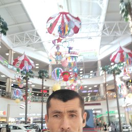 , 41, 