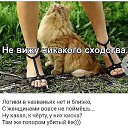 ���� ���, ���������, 47 ��� - ��������� 6 ������� 2025 � ������ ������ ���������