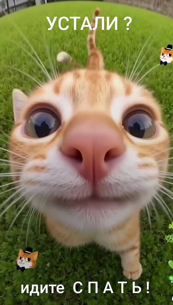   )