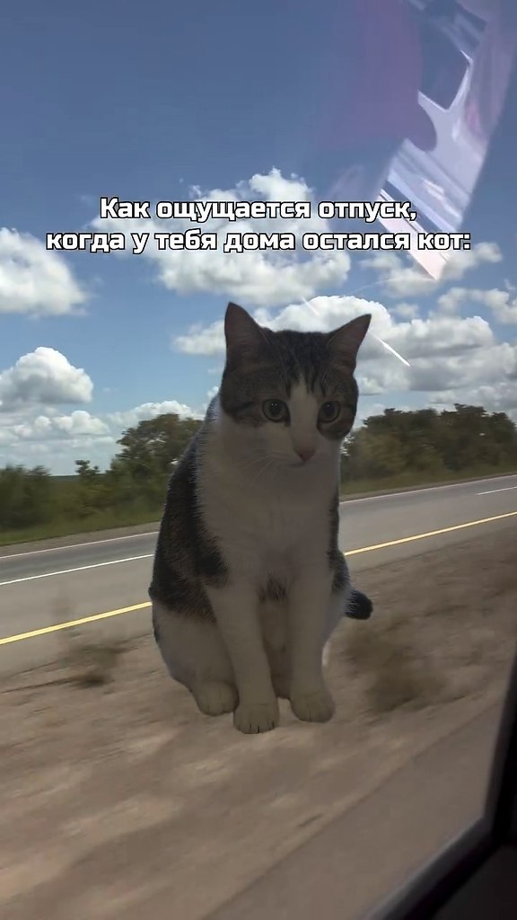 ����� ��� ������ �������� ������������ ���������, ����� ����� ��� ��������?) - 2