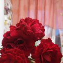 ���� ����, ��������� - ��������� 3 ���� 2026 � ������ ������ ��������