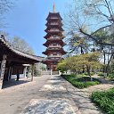 ���� Nataliia, ��������, 55 ��� - ��������� 27 ����� 2025 � ������ ���� ����������