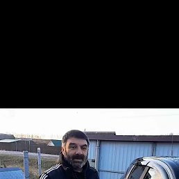 , 56, 