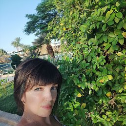 ��������, �����, 49 ���