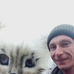 ������, �����������, 35 ���