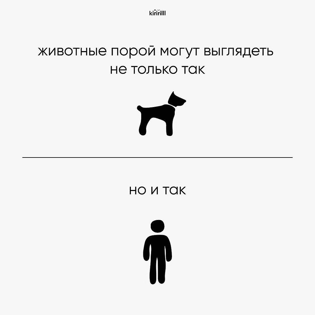 �� ��� ��� ���������� - 6