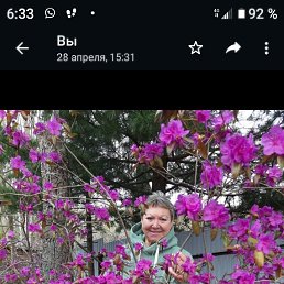 ���� ������, ����������, 57 ��� - ��������� 1 ������� 2024