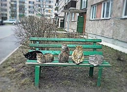 �����������