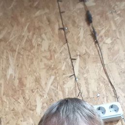 �������, ������-��-����, 40 ���