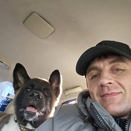 , 37, 