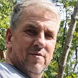 ��������, ������, 50 ���