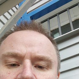 ����, �����-���������, 50 ���