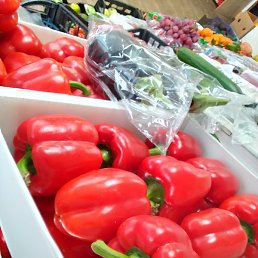 ������� �������, ��������������, 44 ����