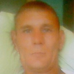 ��������, ������, 46 ���