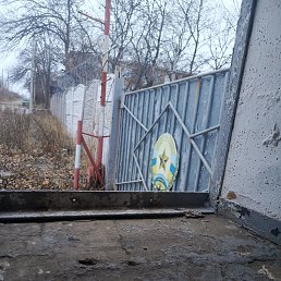 ���� �������, �������, 42 ���� - ��������� 30 ������ 2024