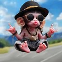 ���� ��������, ������ - ��������� 24 ������� 2026 � ������ ���� ����������