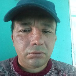 ���� ��������, �����������, 38 ���