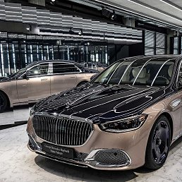 �����, ��������, 29 ���