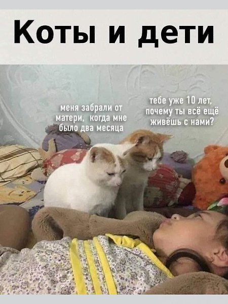   - 23  2024  17:20